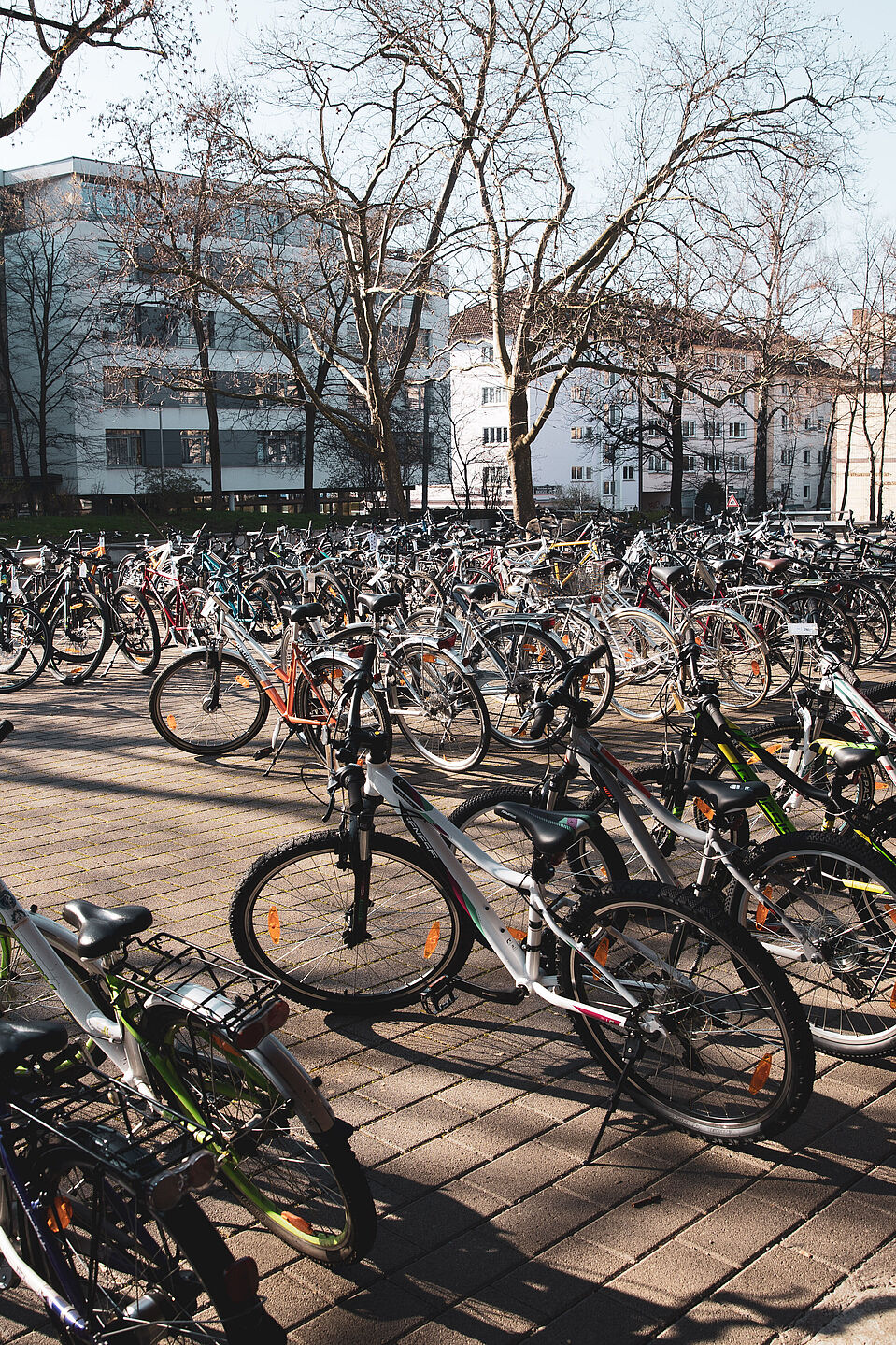 2024_Fahrradbasar Fahrräder aufgereiht zum Verkauf