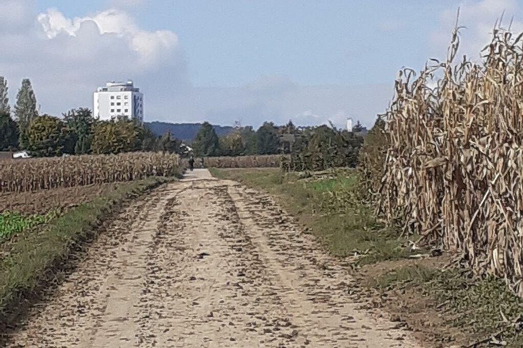 Verschmutzter Wirtschaftsweg auf der Umfahrung des Flughafentunnels 